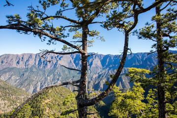 Landscape in Bejenado Peak in Caldera de Taburiente, La Palma, Spain