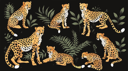 Cheetahs collection. Vector illustration of cartoon 