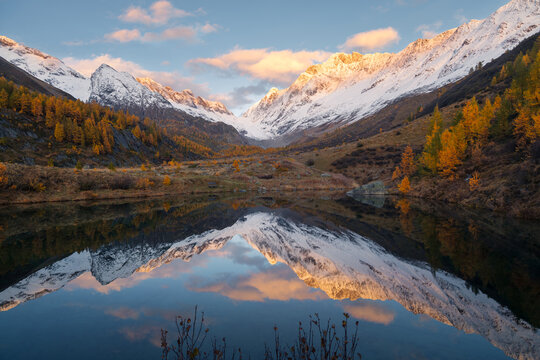 Autumn landscape view of the snow-capped Lotschental mountains reflecting in the Grundsee in Blatten