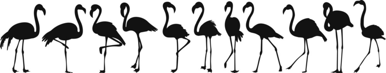 Naklejka premium flamingo set silhouette on white background vector