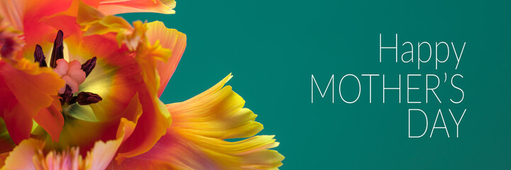 Happy mothers day banner. Mothers day card design. floral background.