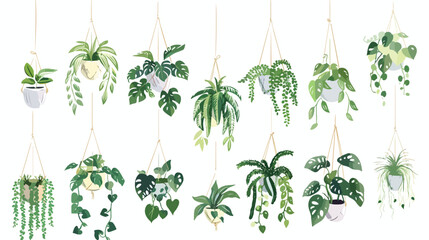 Collection of tropical monstera philodendron pothos  - obrazy, fototapety, plakaty