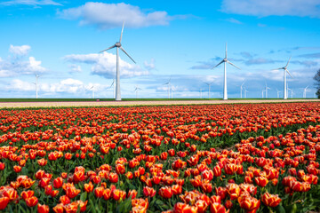A vast field of red and yellow tulips in full bloom swaying gently in the wind, with iconic windmill turbines standing tall in the background