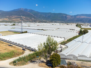 Panoramic drone view of vast landscape of greenhouses in Manavgat, Antalya, Turkey . Greenhouses...