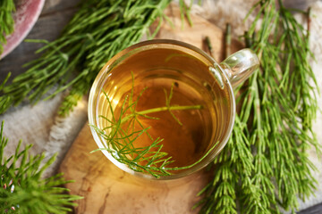 A cup of herbal tea with fresh horsetail plant, top view. Medicinal herb rich in silica.