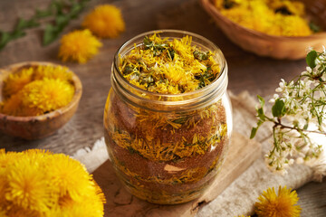 Making homemade dandelion syrup from fresh flowers and cane sugar in a jar