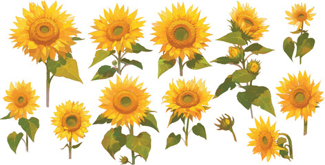 sunflower clipart vector for graphic resources