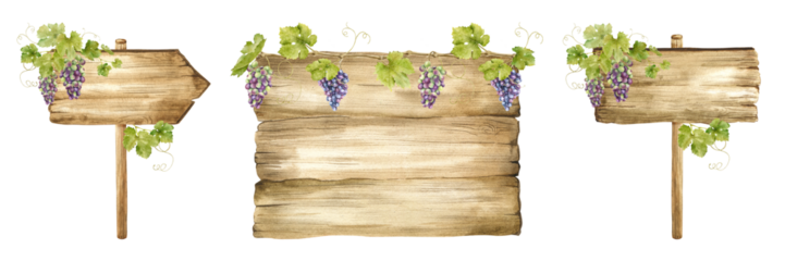 Set of Wooden signboards for grape plantations, vineyards. Wood boards with bunches of grapes, leaves.Signboard with grapevine. Isolated watercolor illustrations For postcards, marketing, invitations.