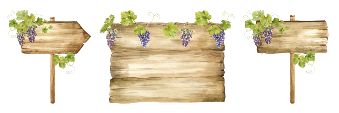 Set of Wooden signboards for grape plantations, vineyards. Wood boards with bunches of grapes, leaves.Signboard with grapevine. Isolated watercolor illustrations For postcards, marketing, invitations.