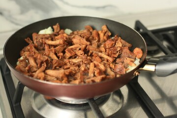 Chanterelle mushrooms