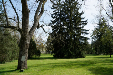 Park in Zelazowa Wola, Poland - birthplace of Frederic Chopin - obrazy, fototapety, plakaty