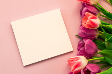 place for text or inscription. greeting card, banner, pink and purple tulips on a pink background