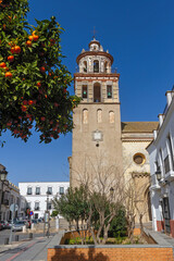  Iglesia Mayor Church Santa María de la O in Sanlucar de Barrameda, Cadiz, Spain