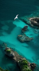 Capturing the tranquil essence of nature, a seagull soars above the serene green-blue waters and rocky coastline