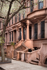 Harlem Brownstones and Townhouses with stoop steps in Mount Morris Park Historic District. Spring in Manhattan, New York City - 791630164