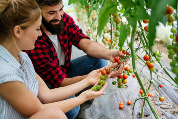 Plants, agriculture business concept. Couple farming in a greenhouse for health and sustainability