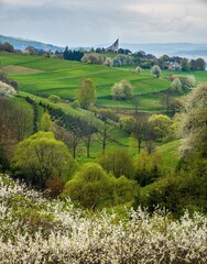 Spring landscape with blossom trees on a green meadows. The Hrinova village in Slovakia, Europe. © Ivan