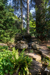 Fototapeta premium Ecosystème et zone humide - ruisseau de montagne s'écoulant entre des rochers