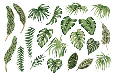 Tropical vintage palm leaves floral clip art. Exotic botanical set. - obrazy, fototapety, plakaty