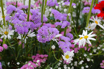 Beautiful flower bouquet, Flower background.