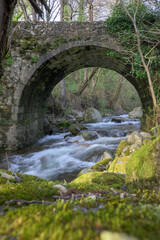 Old masonry stone bridge over the mighty Ambroz River and rocks with abundant moss vertically