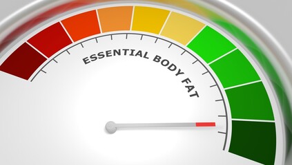 Essential body fat good level on measure scale. Instrument scale with arrow. Colorful infographic gauge element. Healthy life information. 3D render