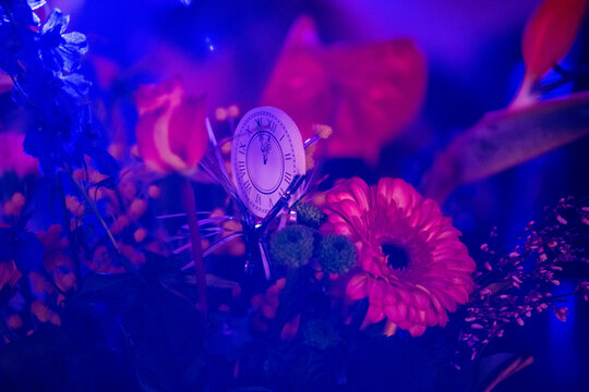 Hygrometer amidst vibrant flowers under blue lighting.