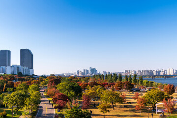 Aerial view of yeouido Hangang park in autumn season with skyscrapers and  modern buildings...