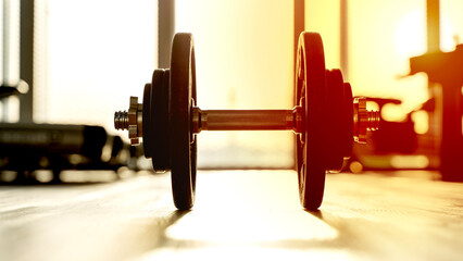 barbell or dumbbell in the gym in the sunlight