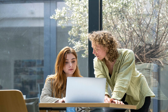 Two people are working together on a laptop, sitting near a window with blooming trees outside. One is giving an explanation or presentation to the other.
