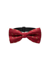 Close-up shot of a red bow tie with gold print. Fashionable men's adjustable bow tie is isolated on...