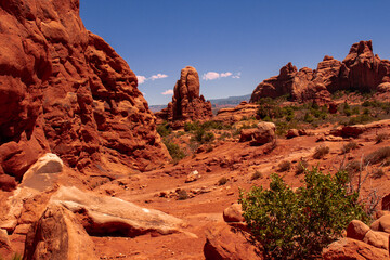 Arches National Park in the Summer Landscape Photo