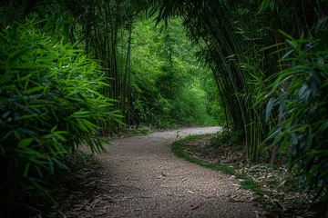 Zelfklevend Fotobehang A bamboo forest reveals a serene path - its winding trail inviting contemplative walks in pursuit of inner peace and the essence of nirvana © Davivd
