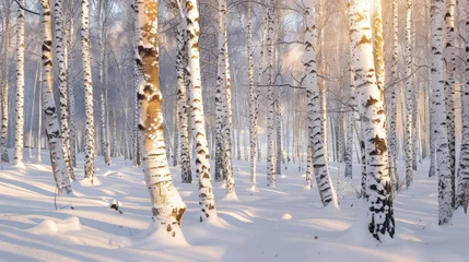 Tuinposter Sunlight filtering through snow-covered birch trees in a winter forest © 2rogan