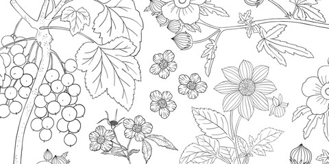 Coloring page for adults. Line art coloring activity. Beautiful hand-drawn flowers.  Mindful coloring for stress relief. Vector illustration - 791671945
