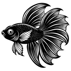 black and white betta fish vector art silhouette 