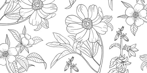 Coloring page for adults. Line art coloring activity. Beautiful hand-drawn flowers.  Mindful coloring for stress relief. Vector illustration - 791672183
