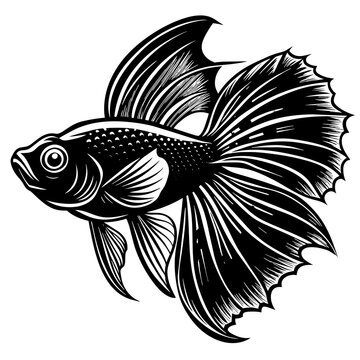 recommend clip art: black and white betta fish vector art silhouette 