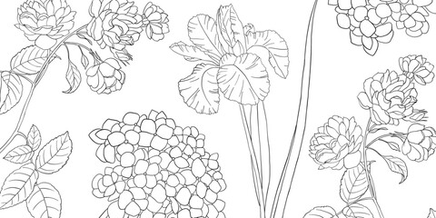 Coloring page for adults. Line art coloring activity. Beautiful hand-drawn flowers.  Mindful coloring for stress relief. Vector illustration - 791672370