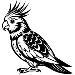 Obraz premium Cockatoos vector art silhouette 