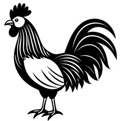 rooster isolated on white background vector art silhouette
