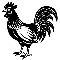 rooster isolated on white background vector art silhouette