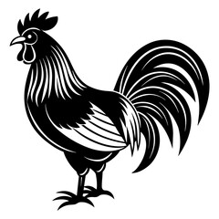 rooster isolated on white background vector art silhouette