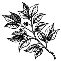 black and white design vector art silhouette 