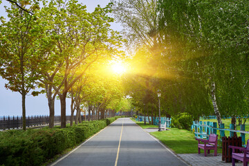 A small asphalt road flanked by a lush green lawn and trees, bathed in the warmth of a summer day.