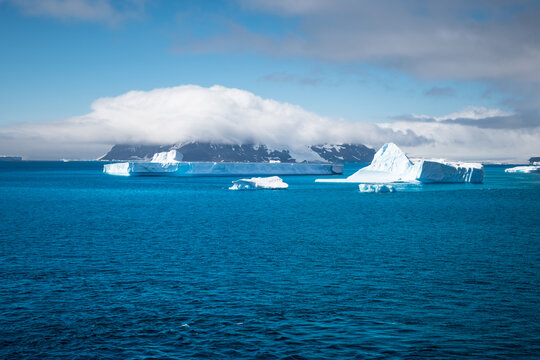 Icebergs in the sea. Brown Bluff, Antarctica.