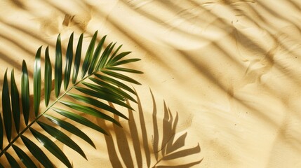 Obraz premium Aesthetic Palm Leaf on Shadow on white Sand Background Texture