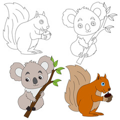 Wild Animals clipart collection for lovers of jungles and wildlife. This set will be a perfect addition to your safari and zoo-themed projects.