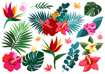 Exotic flowers and leaves. Tropical plant set for design, scrapbooking