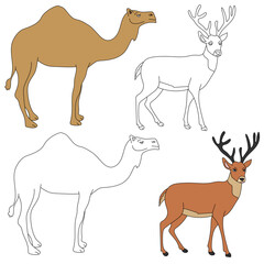 Wild Animals clipart collection for lovers of jungles and wildlife. This set will be a perfect addition to your safari and zoo-themed projects.